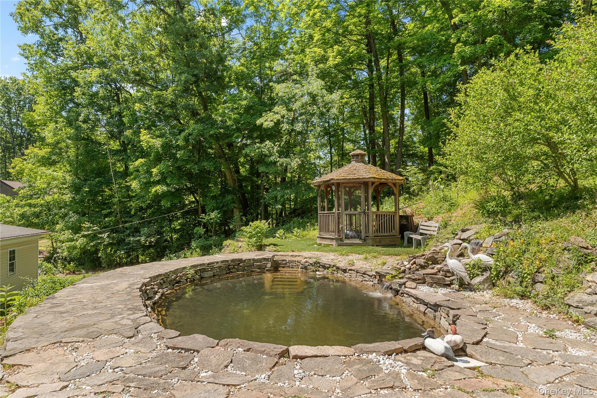 Pond