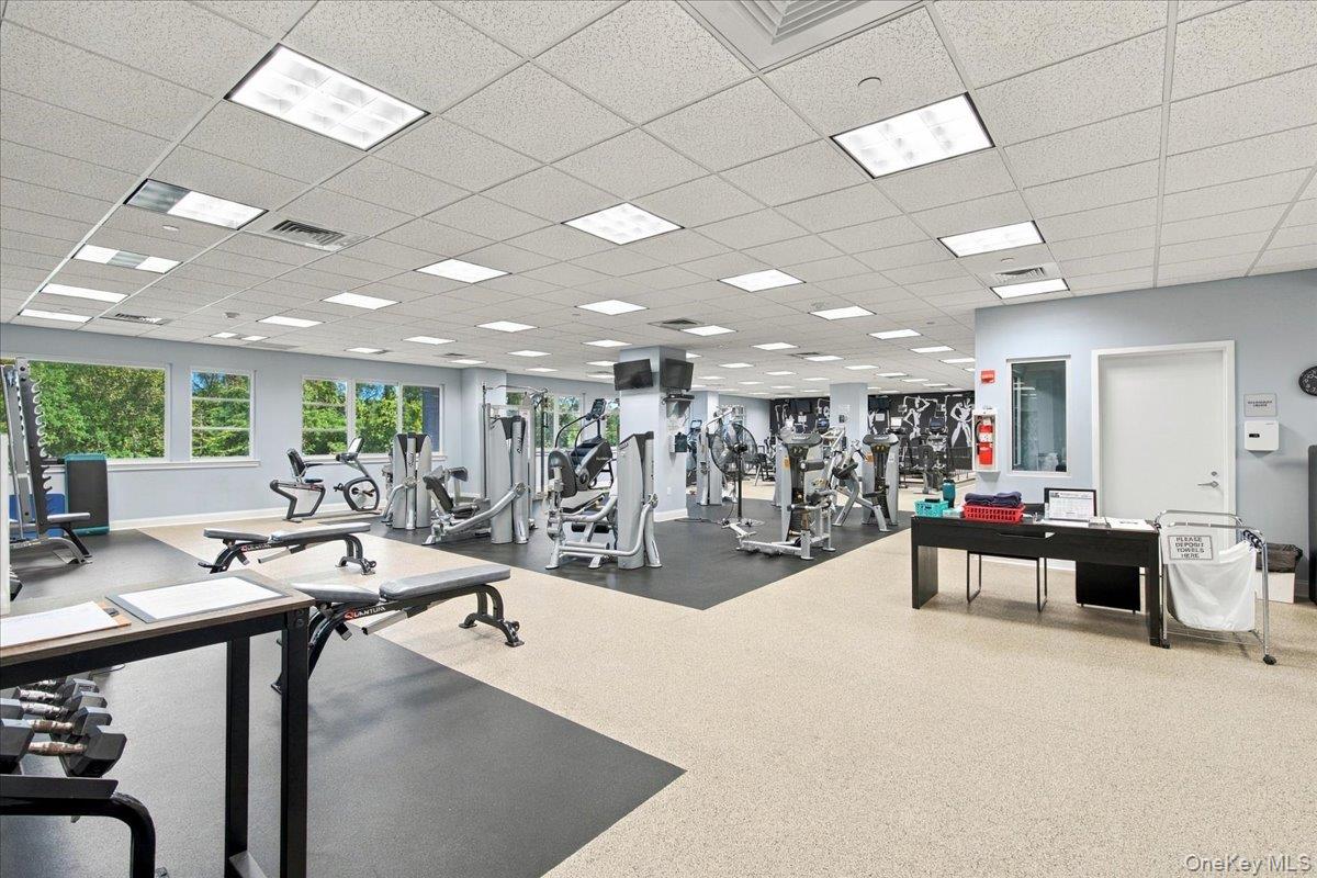 Gym