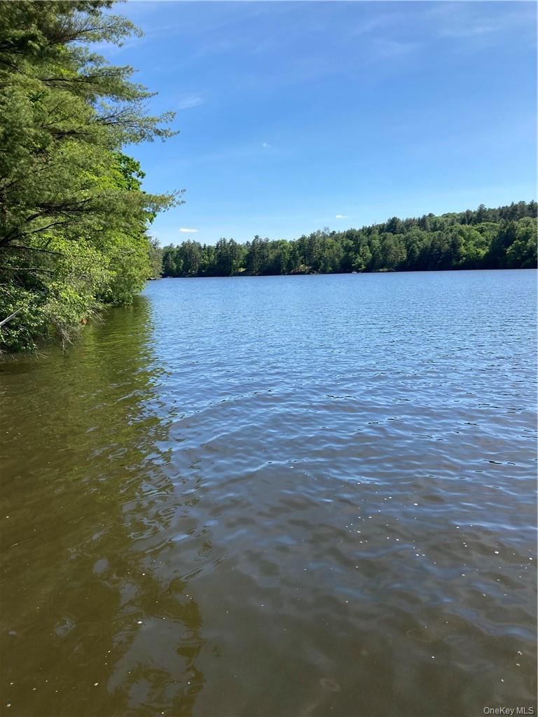 Plank Road Forestburg New York