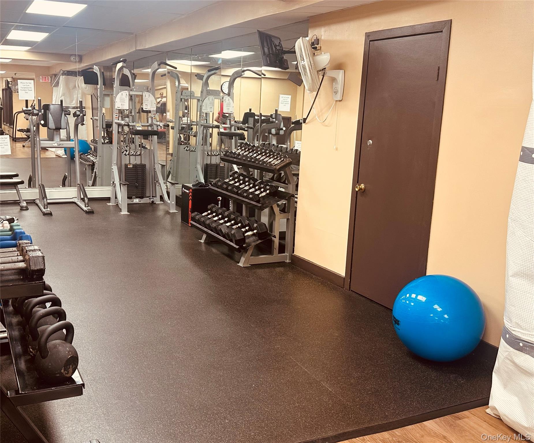 Gym