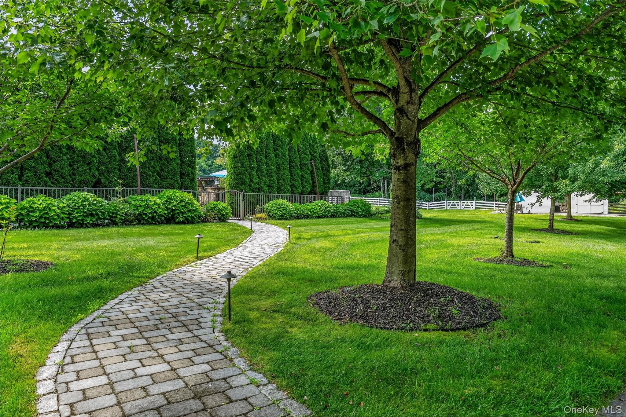 Photo 37