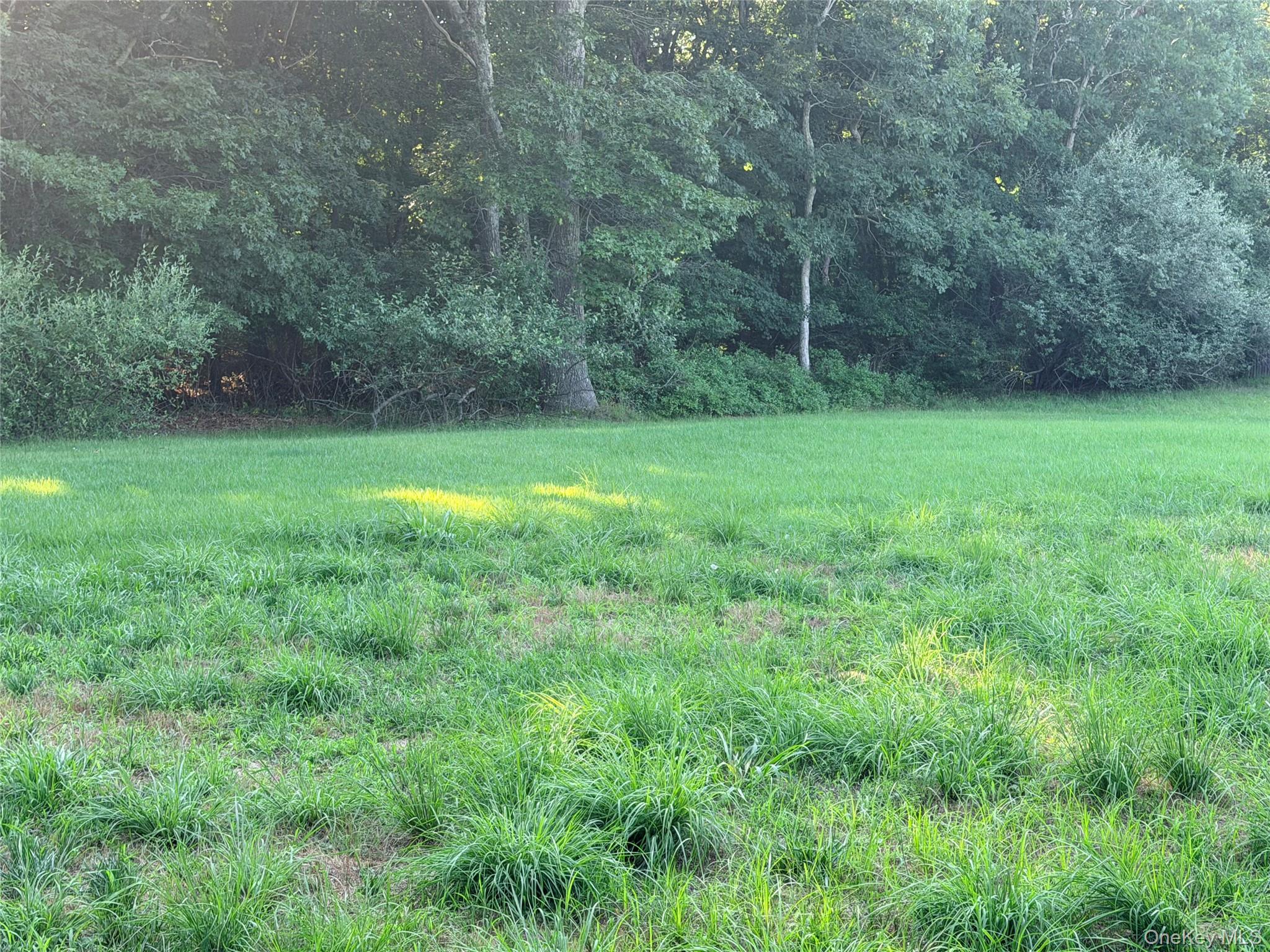 Photo 35