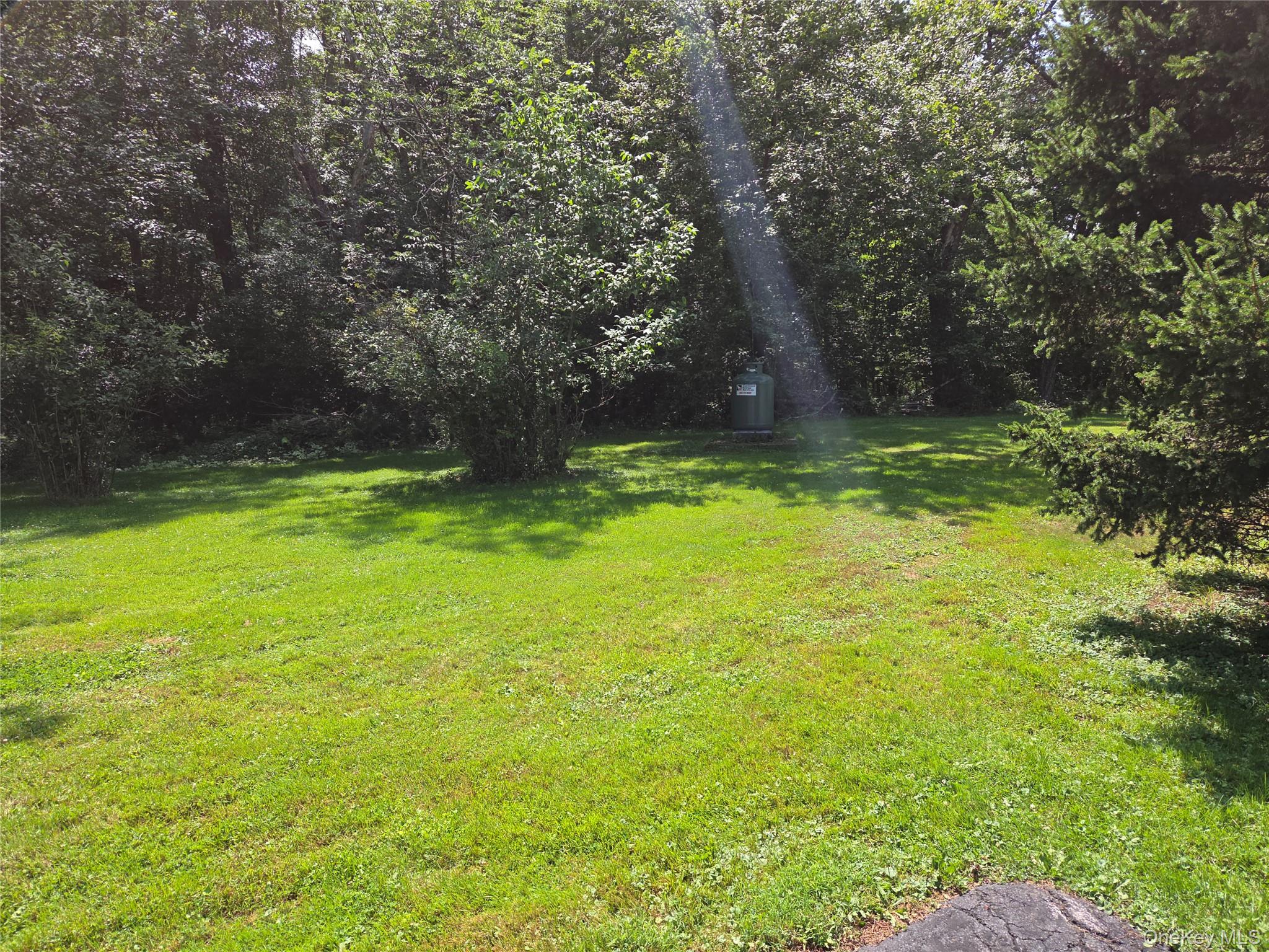 Yard