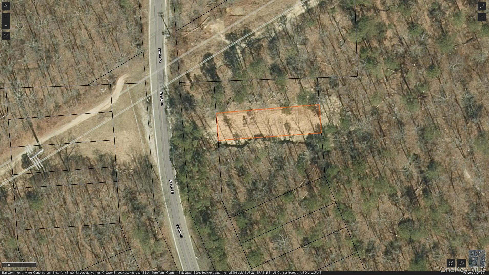 Manor Yaphank Road