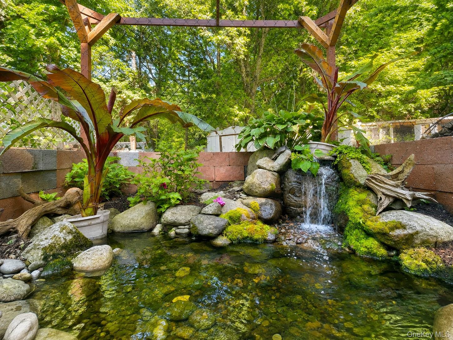 Pond