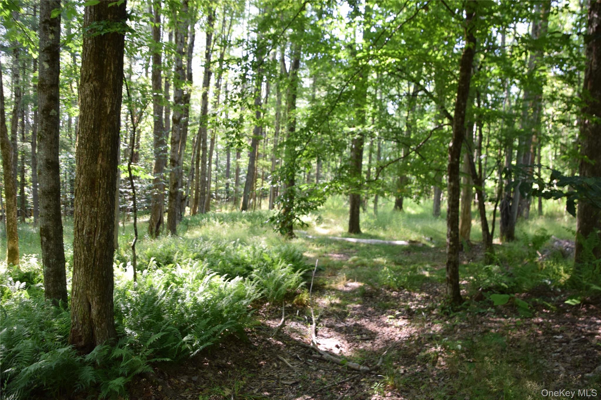 Photo 40
