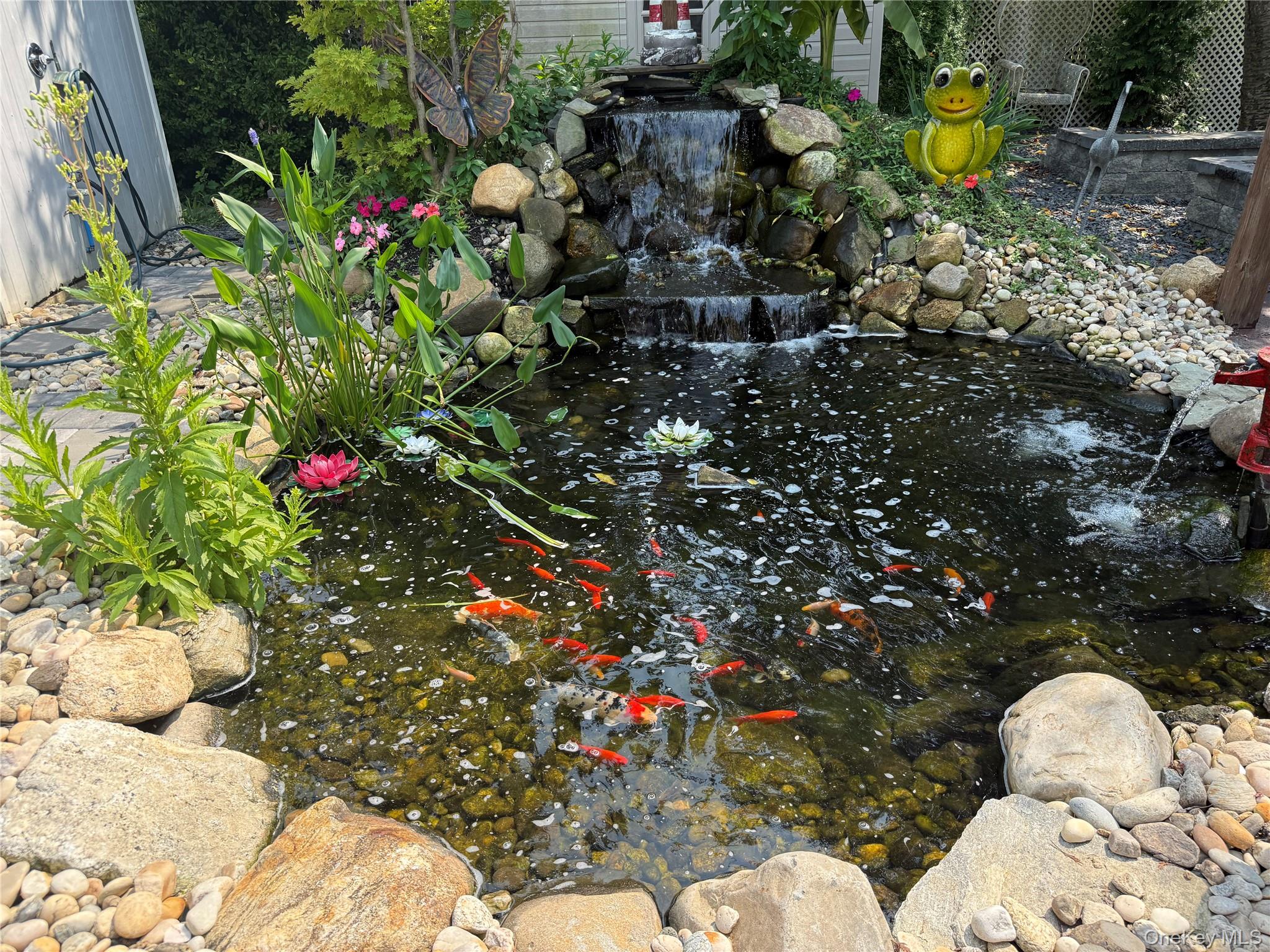 Photo 41
