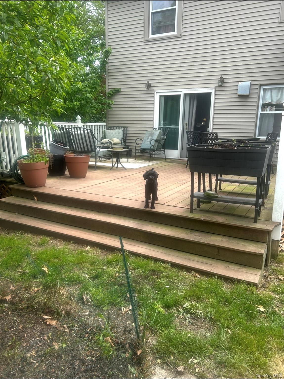 Deck