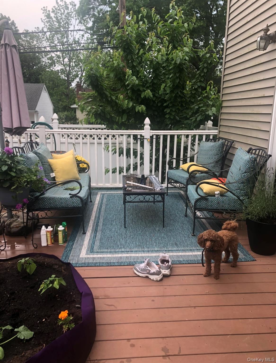 Deck