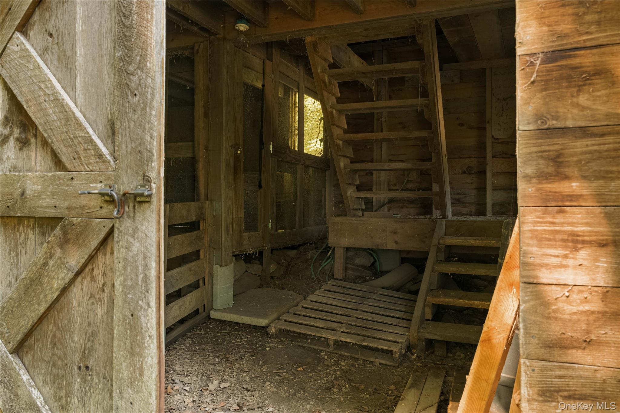 Photo 41