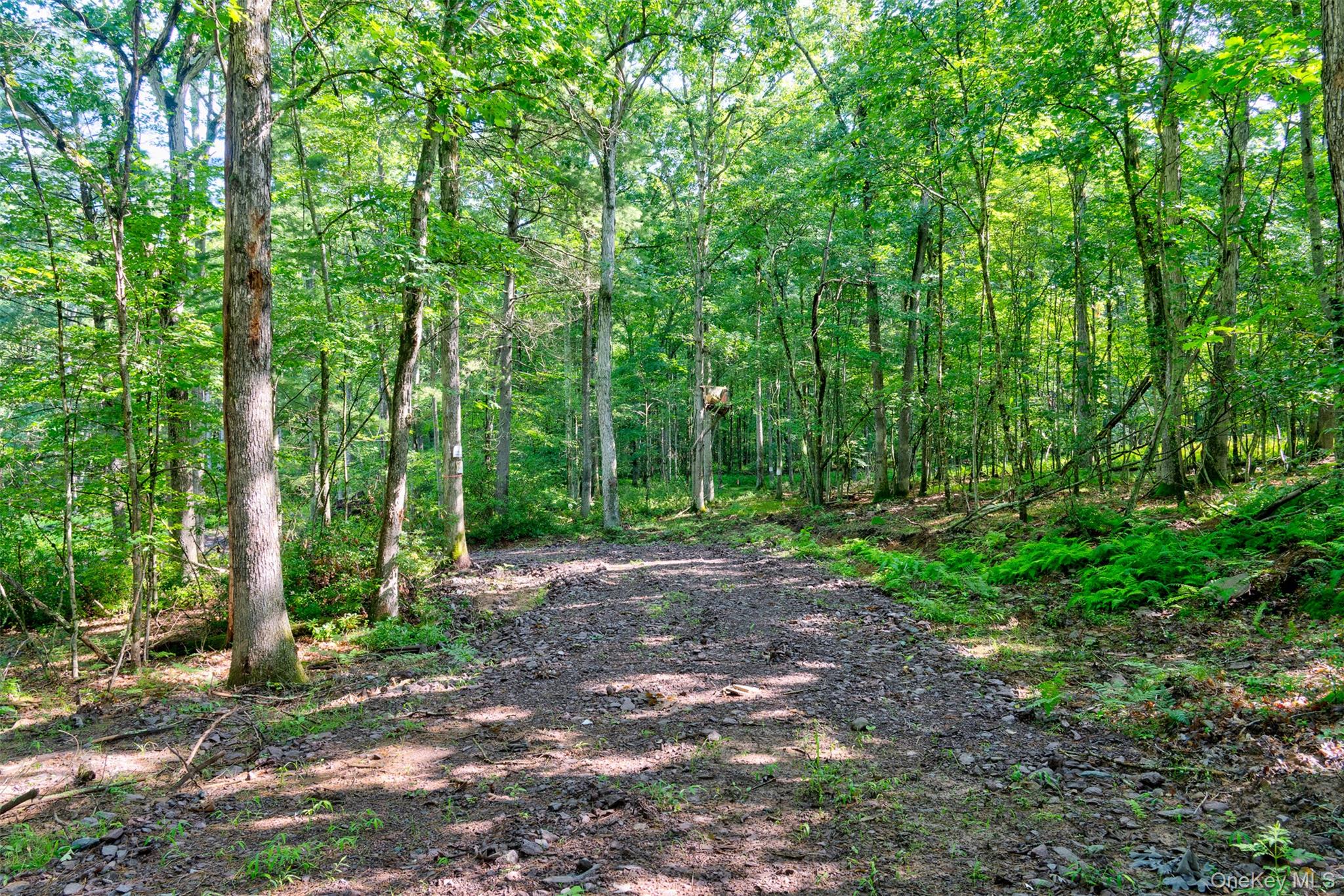 Lot 23 Perry Pond Road