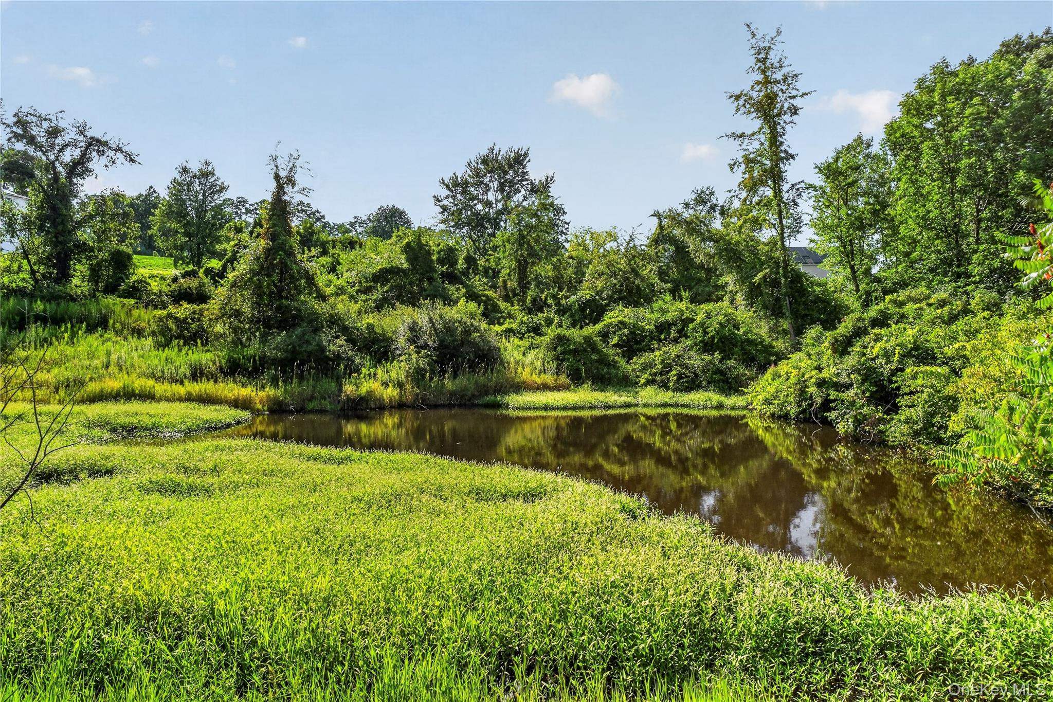 Pond