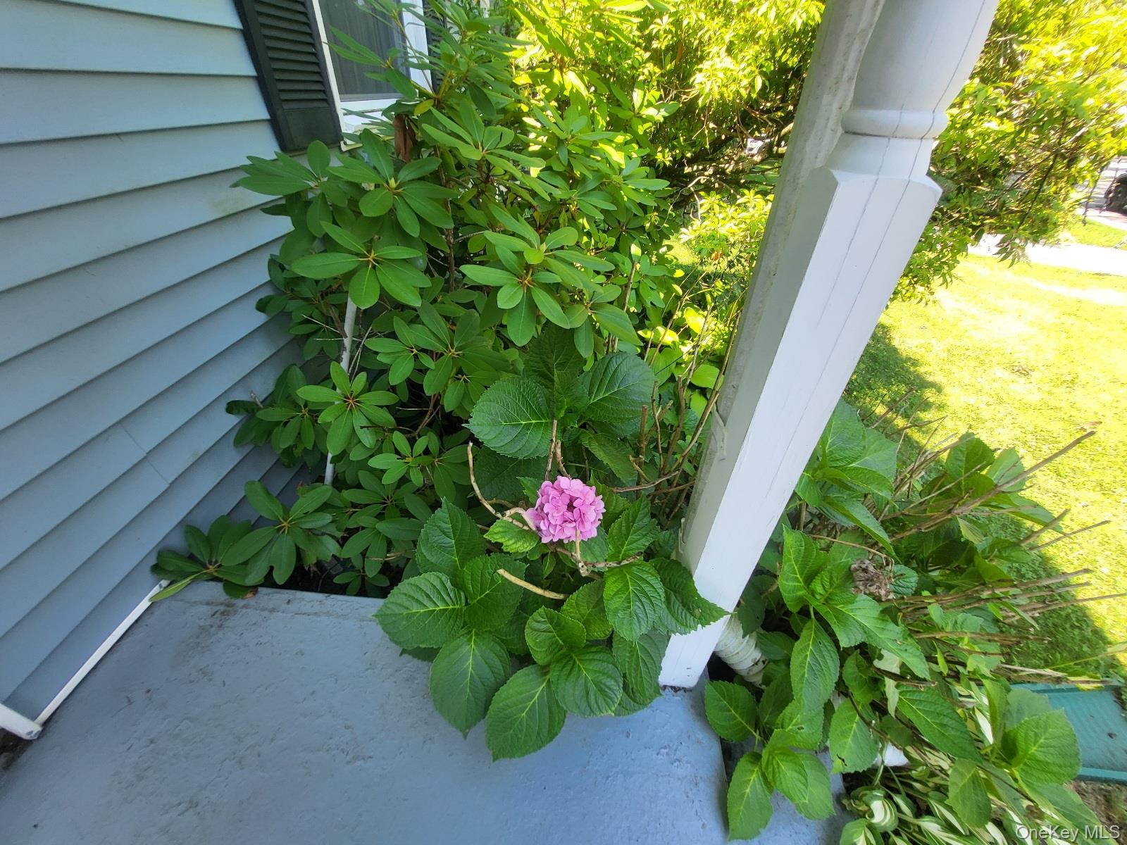 Photo 7