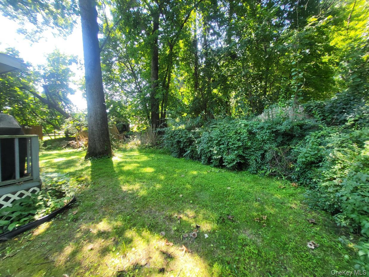 Yard