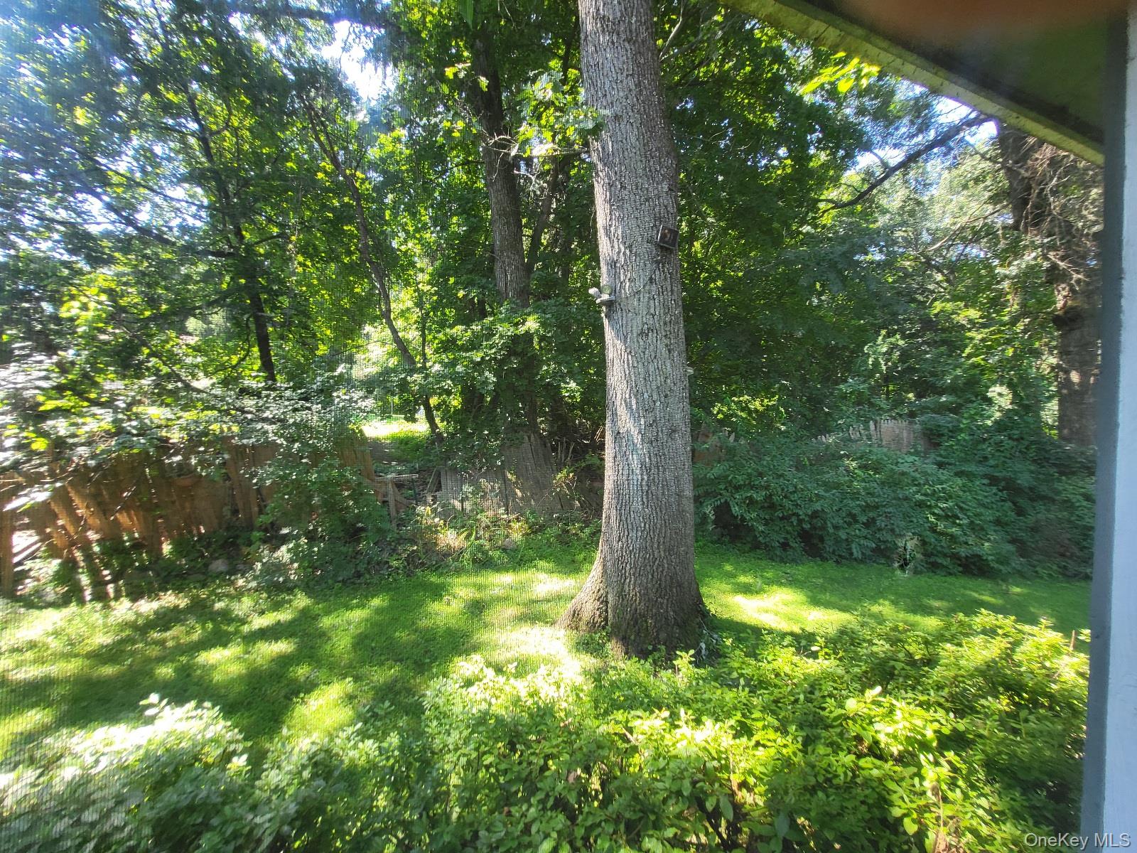 Yard
