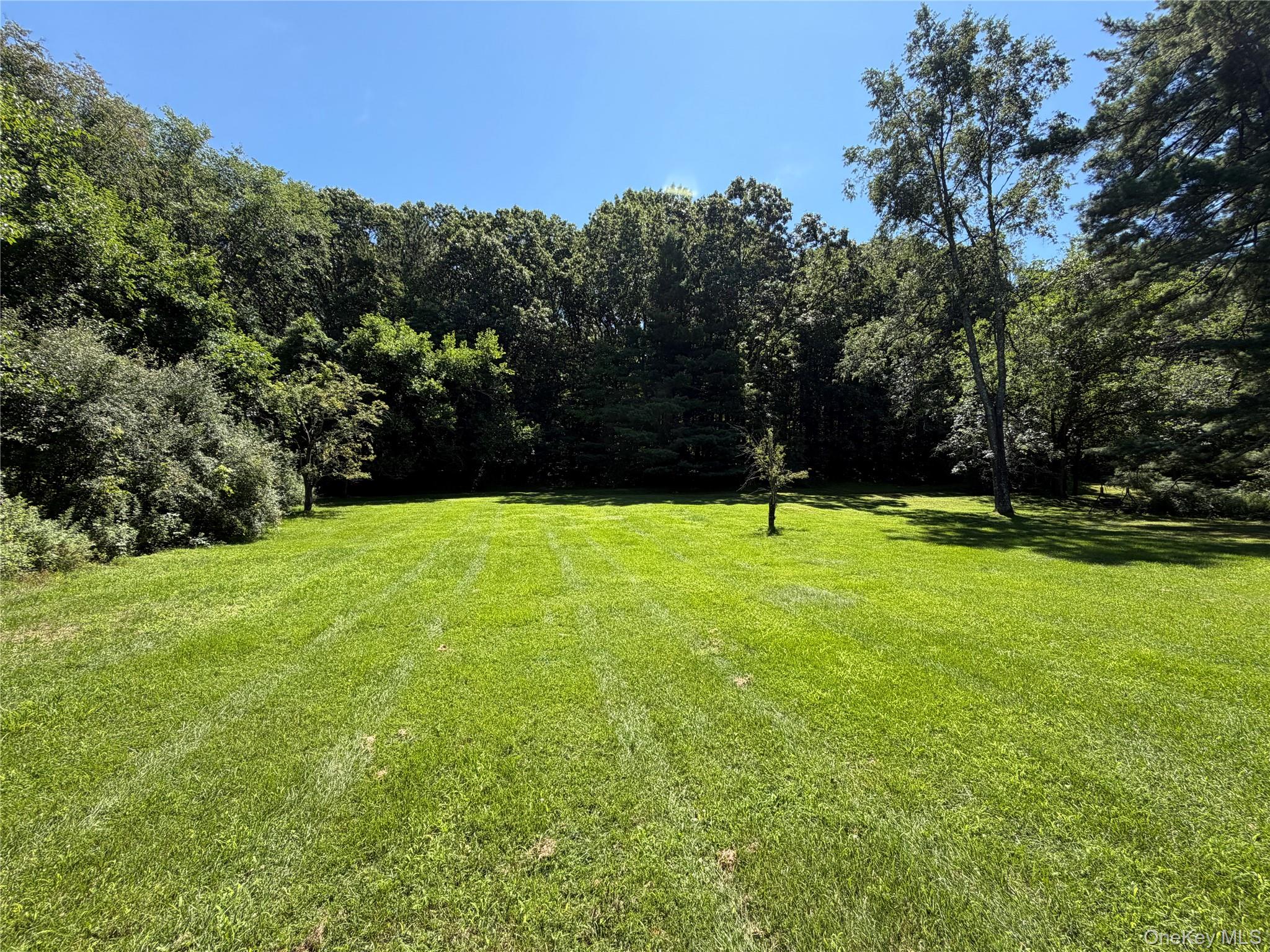 Yard