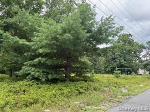 695 Big Pond Road