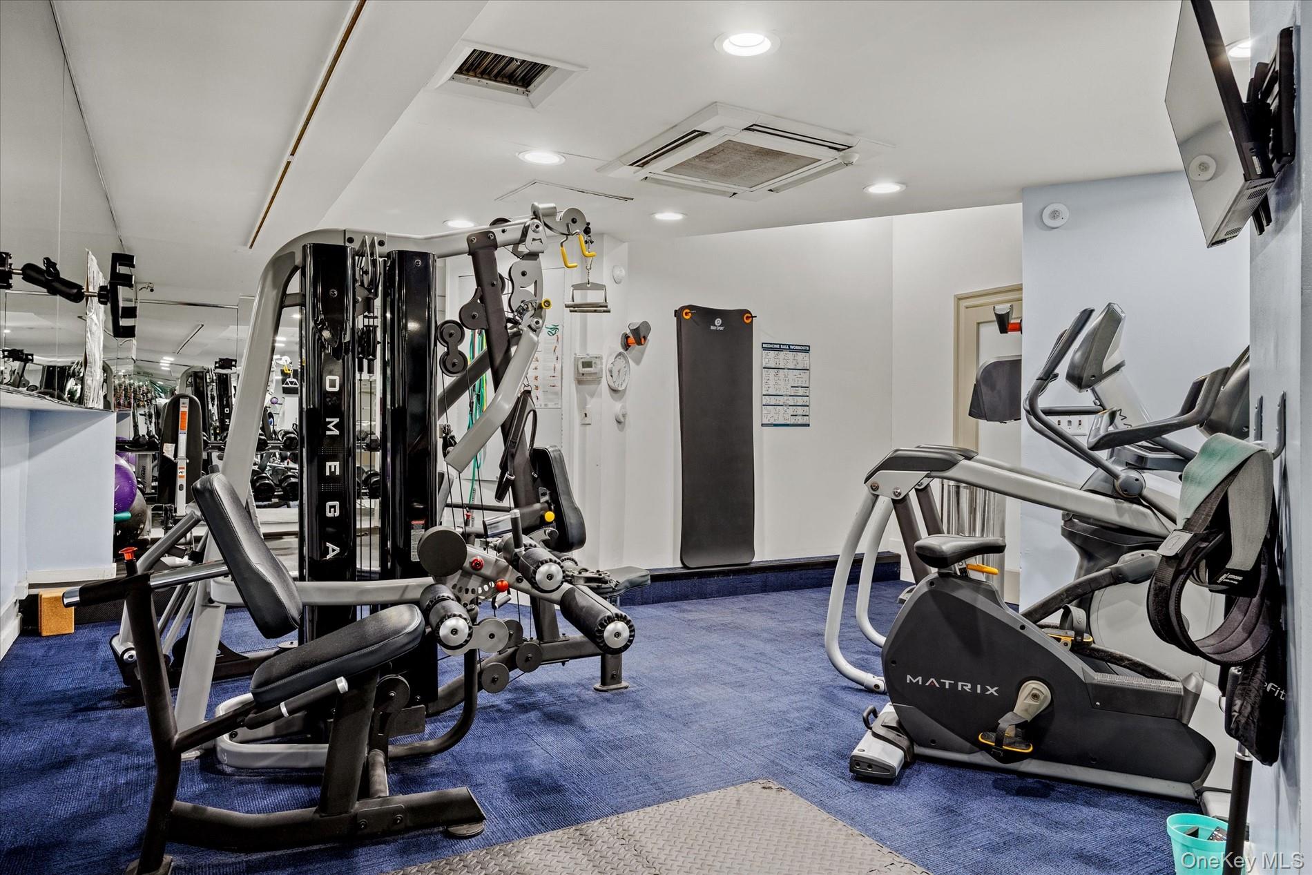Gym