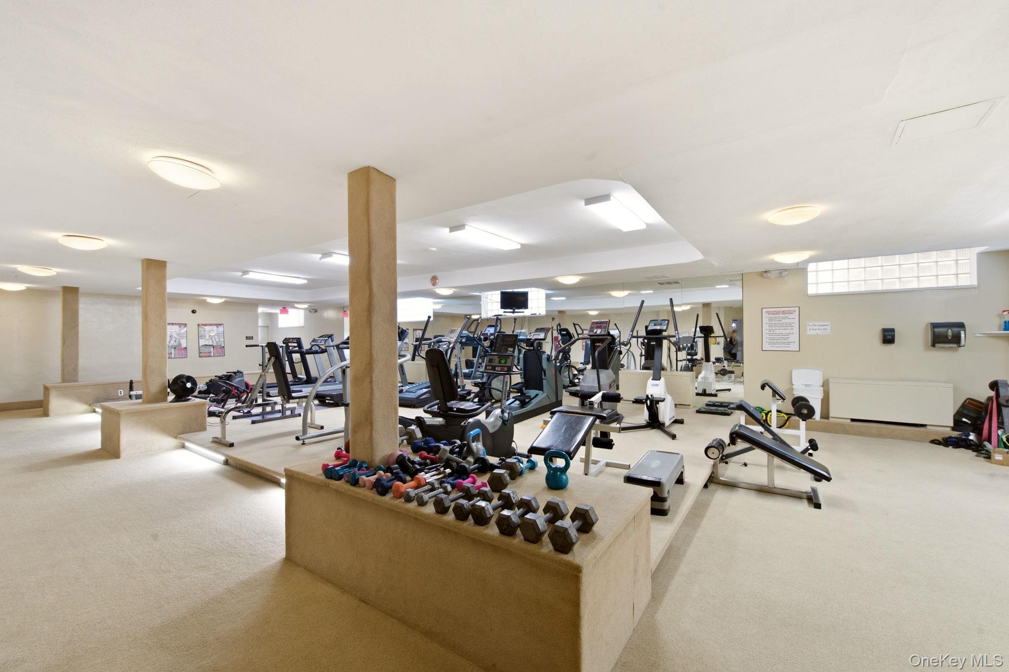 Gym