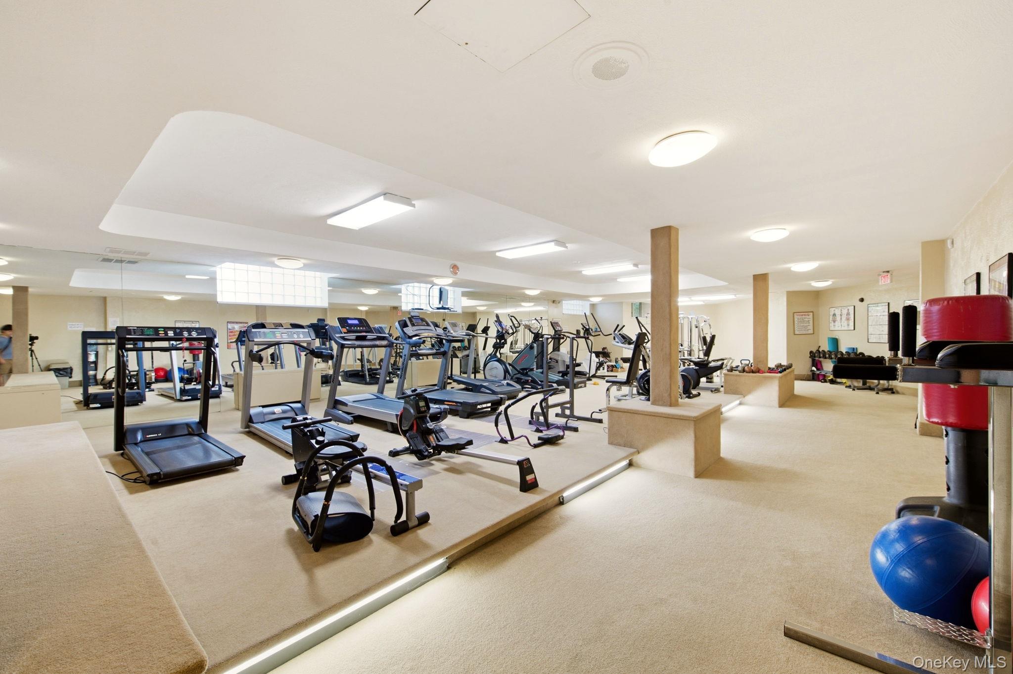 Gym