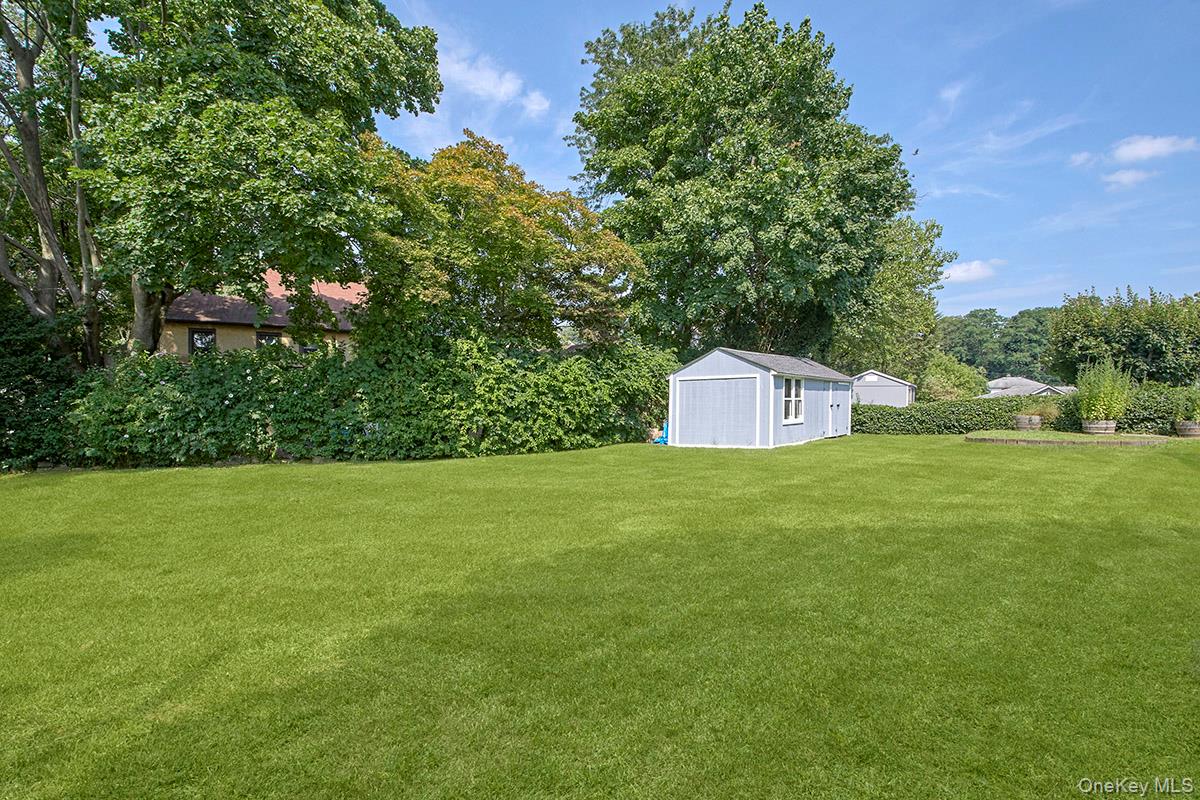 Yard