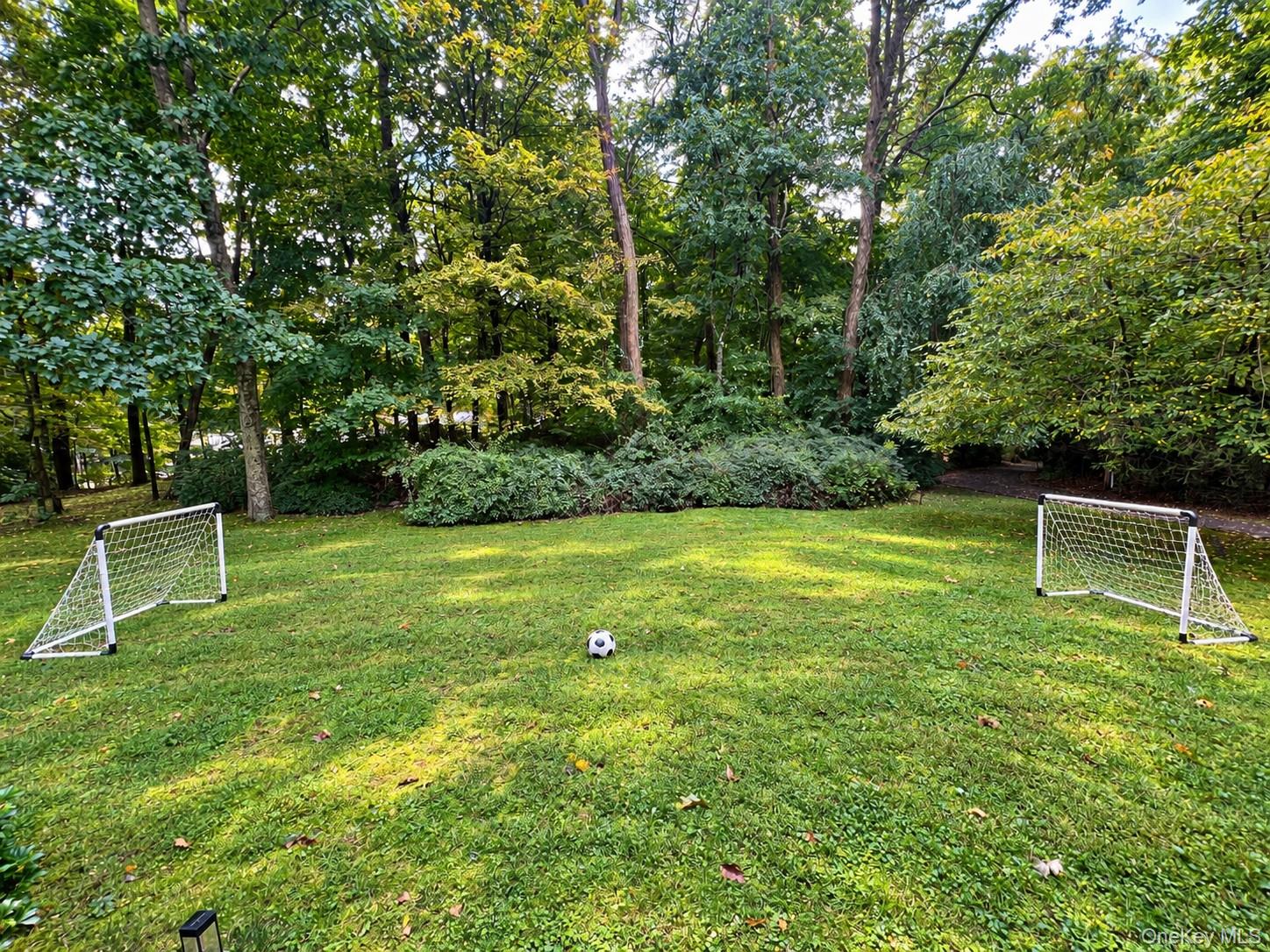 Yard