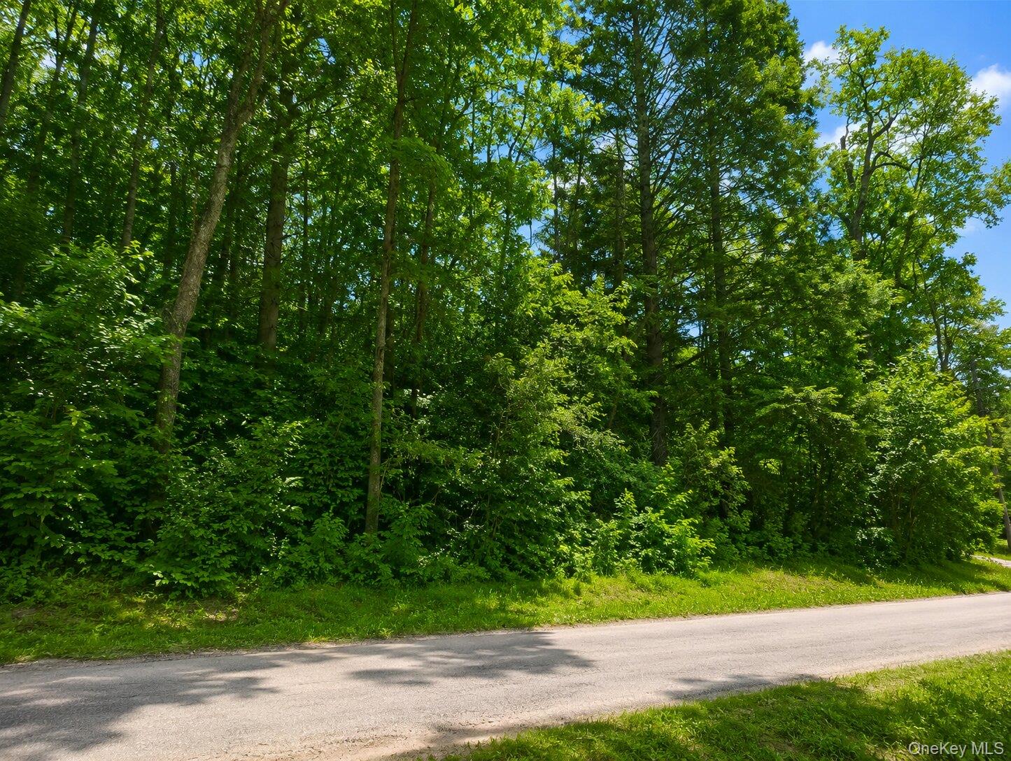 Benton Hollow Road