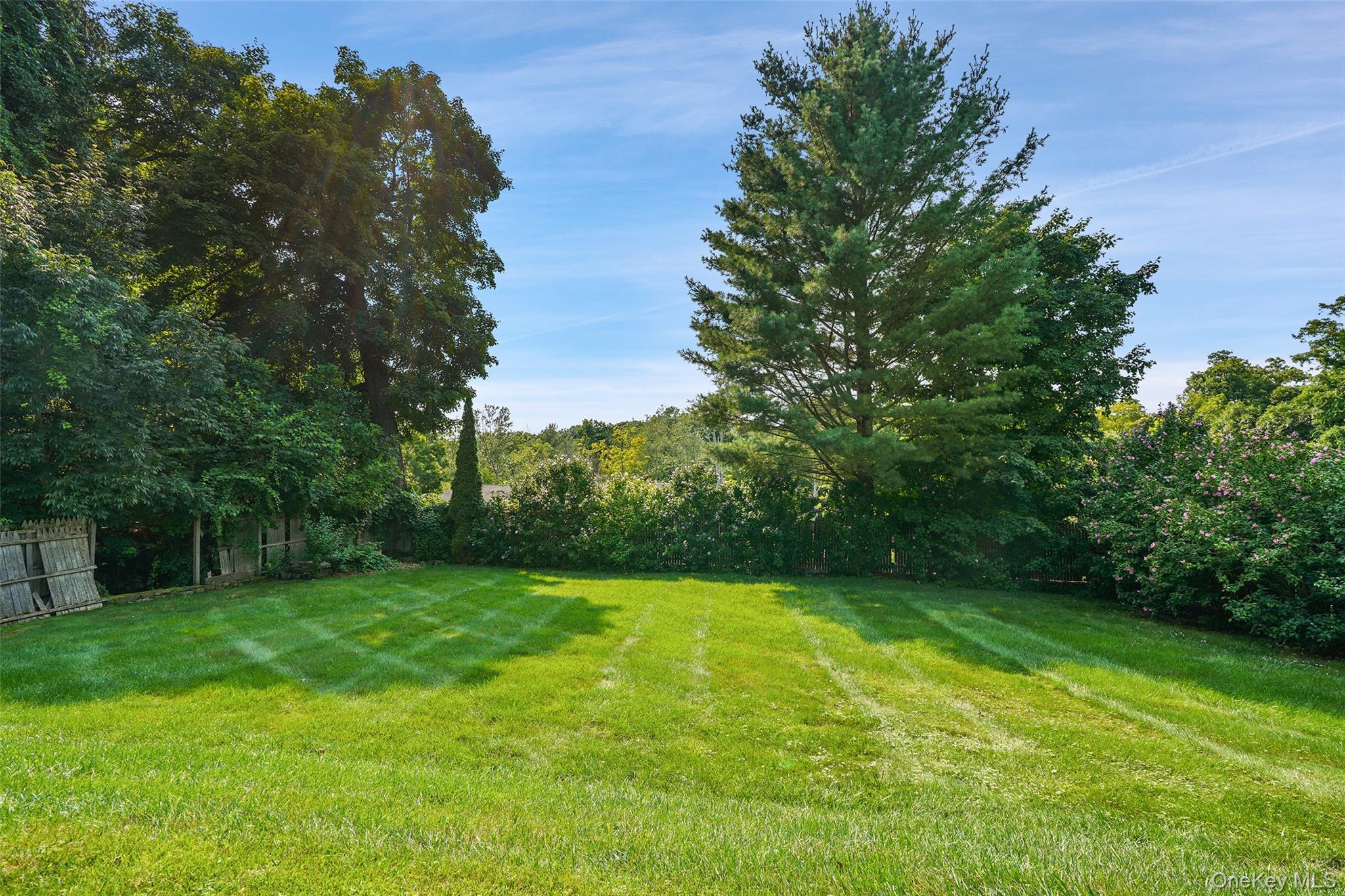 Yard