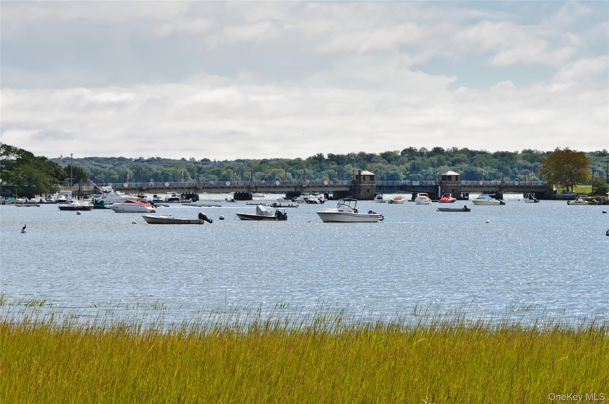 Community