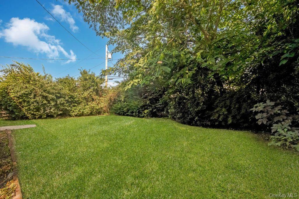 Yard
