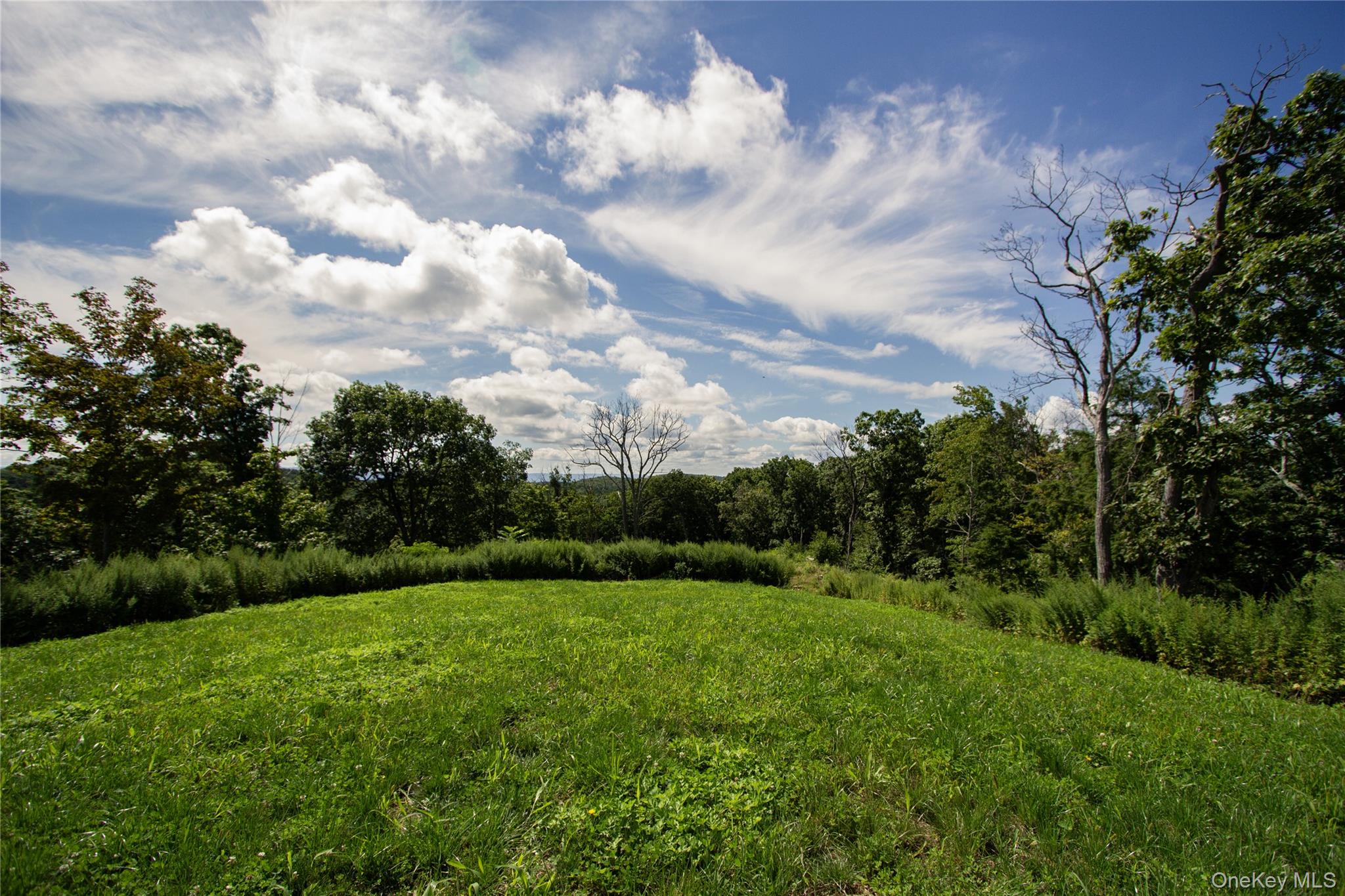 229 Mount Zion Road