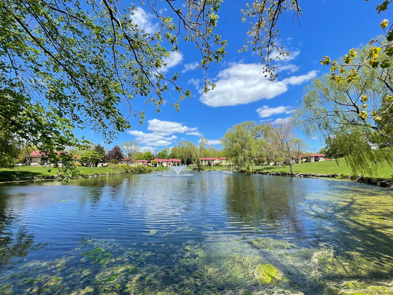 Pond
