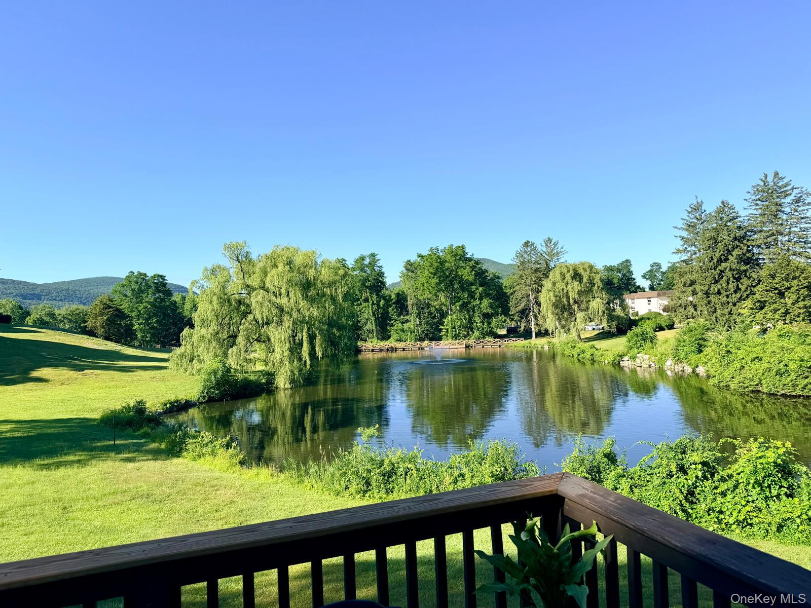 Pond