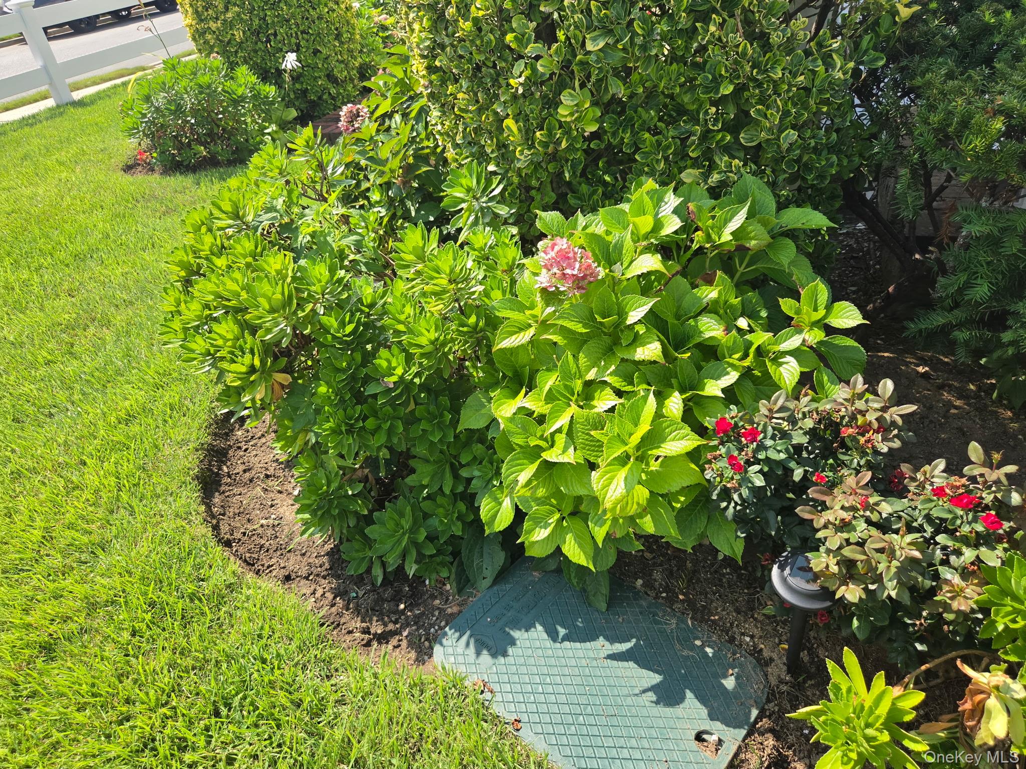 Photo 18