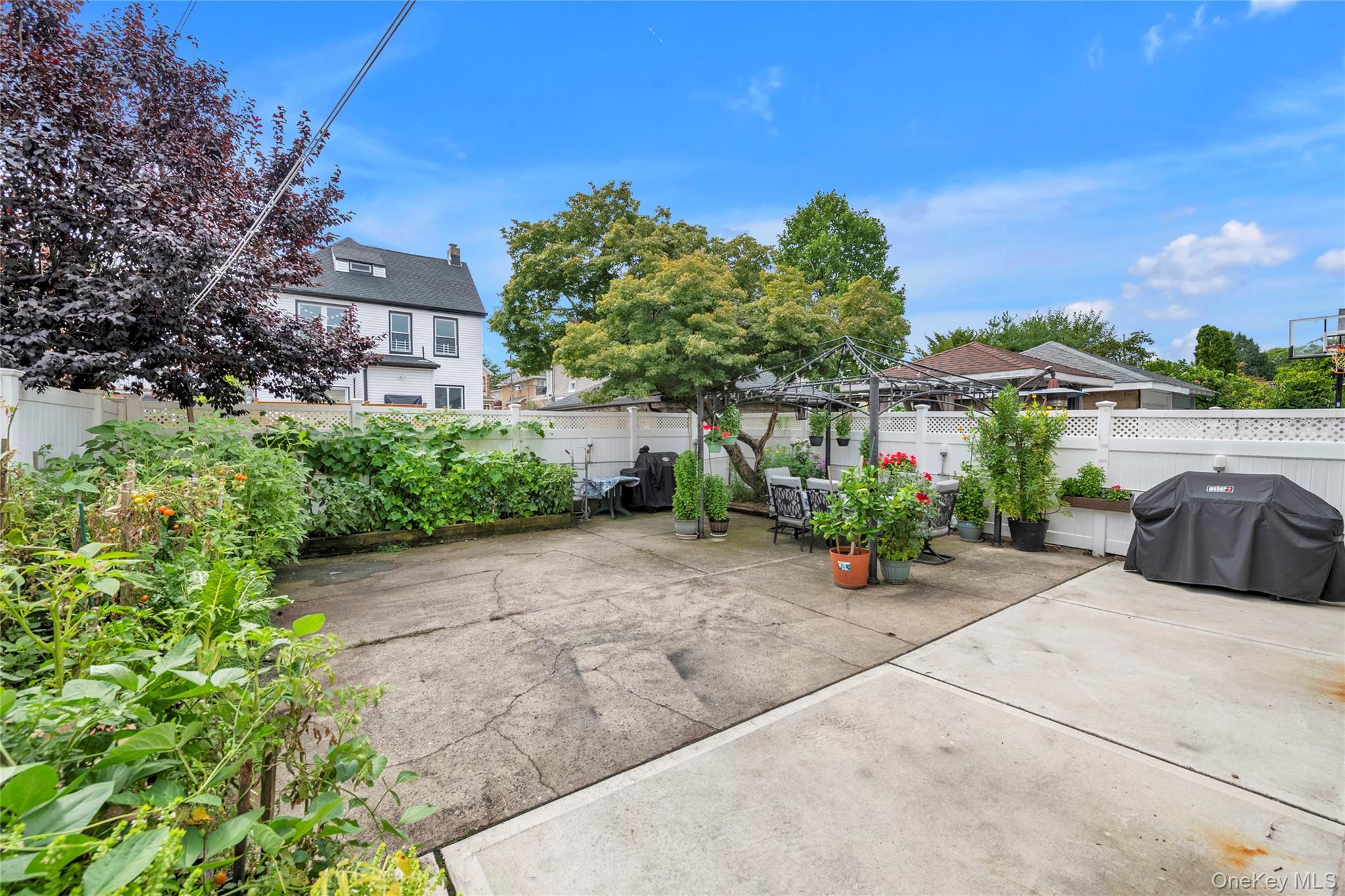 Photo 21