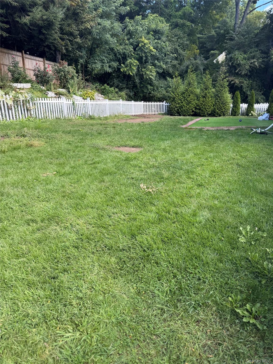 Photo 38
