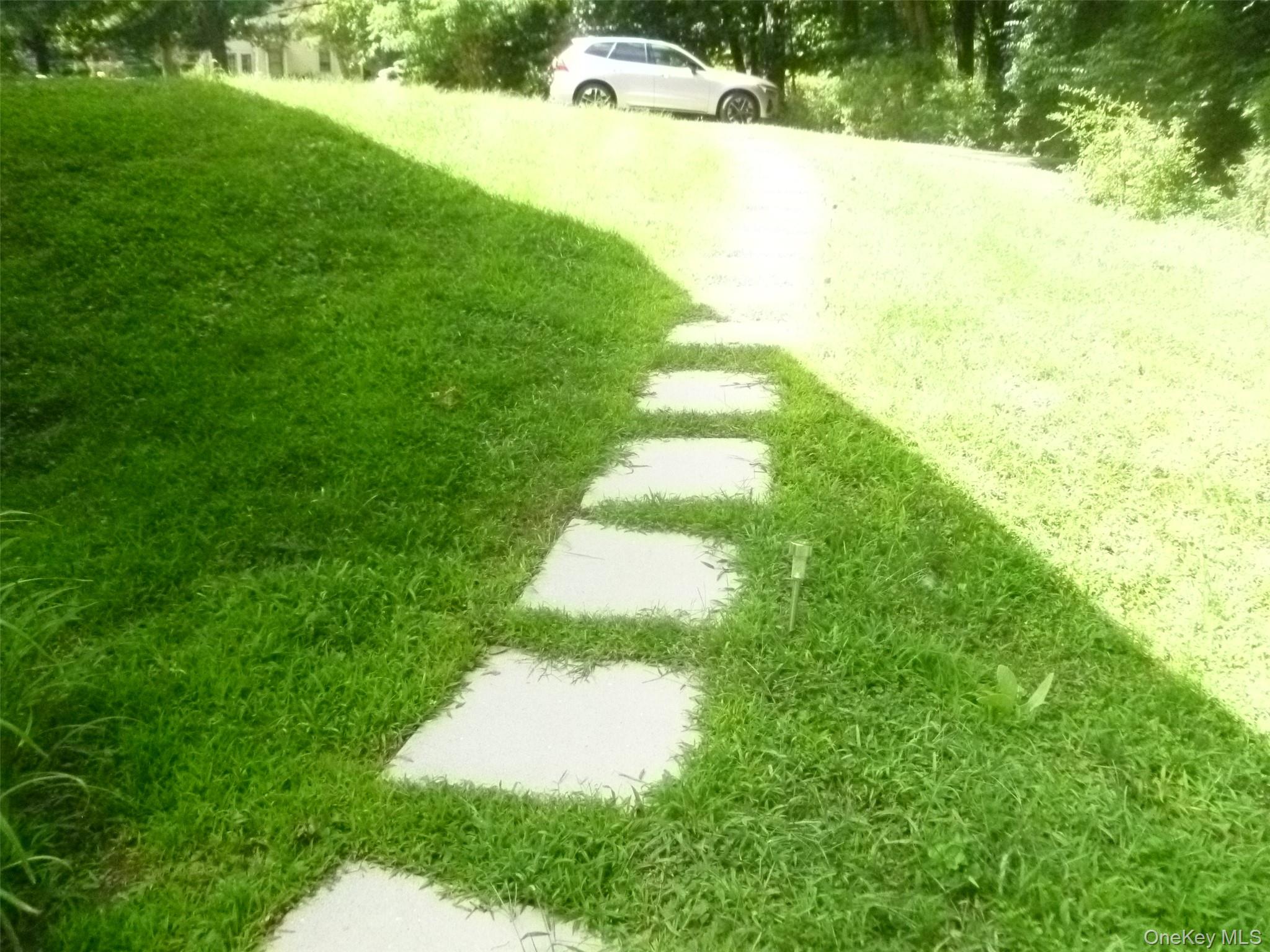 Yard