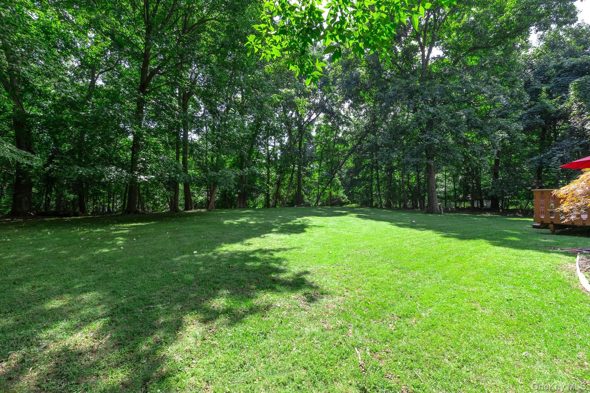 Yard