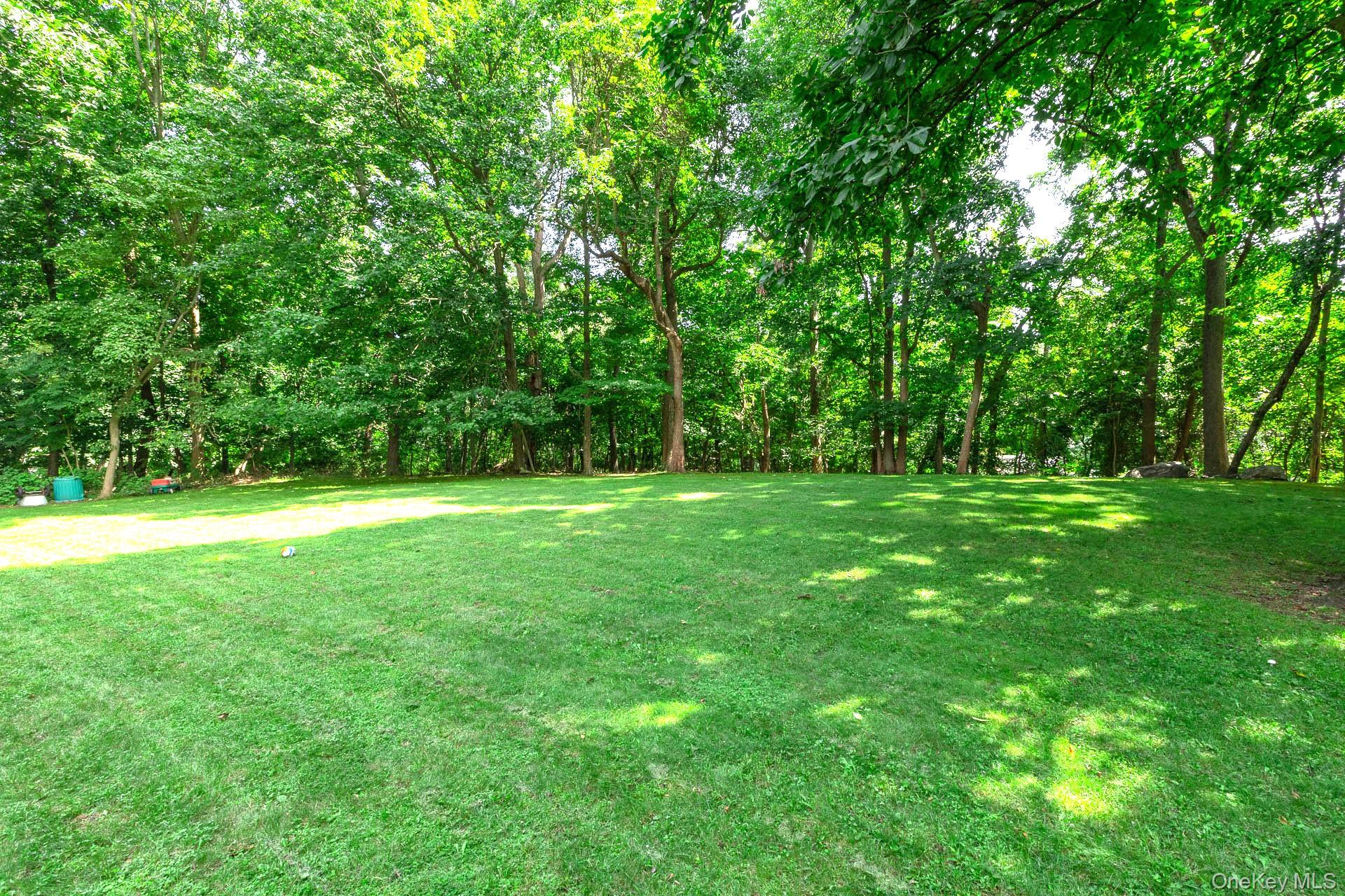 Yard