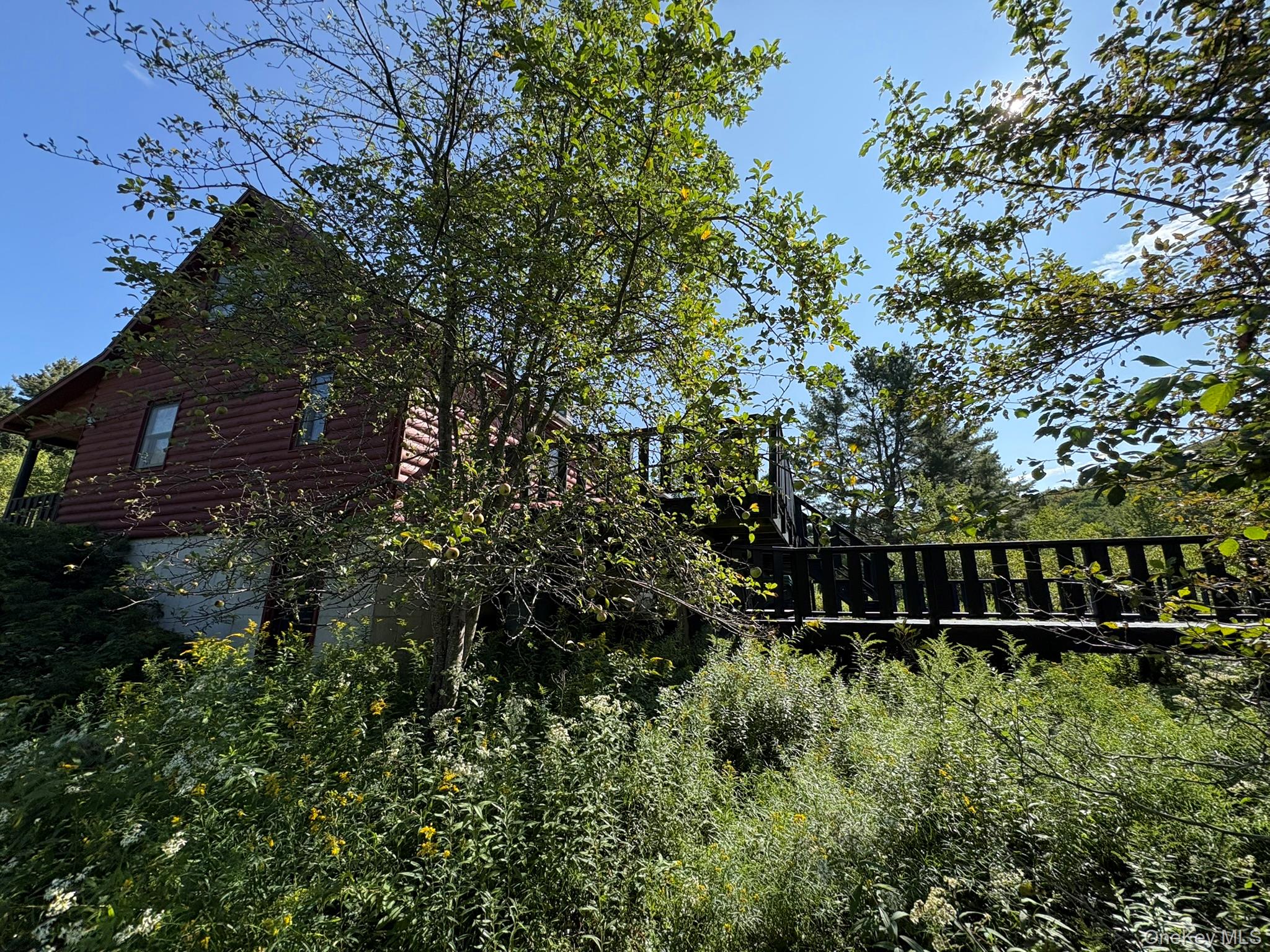 Photo 33