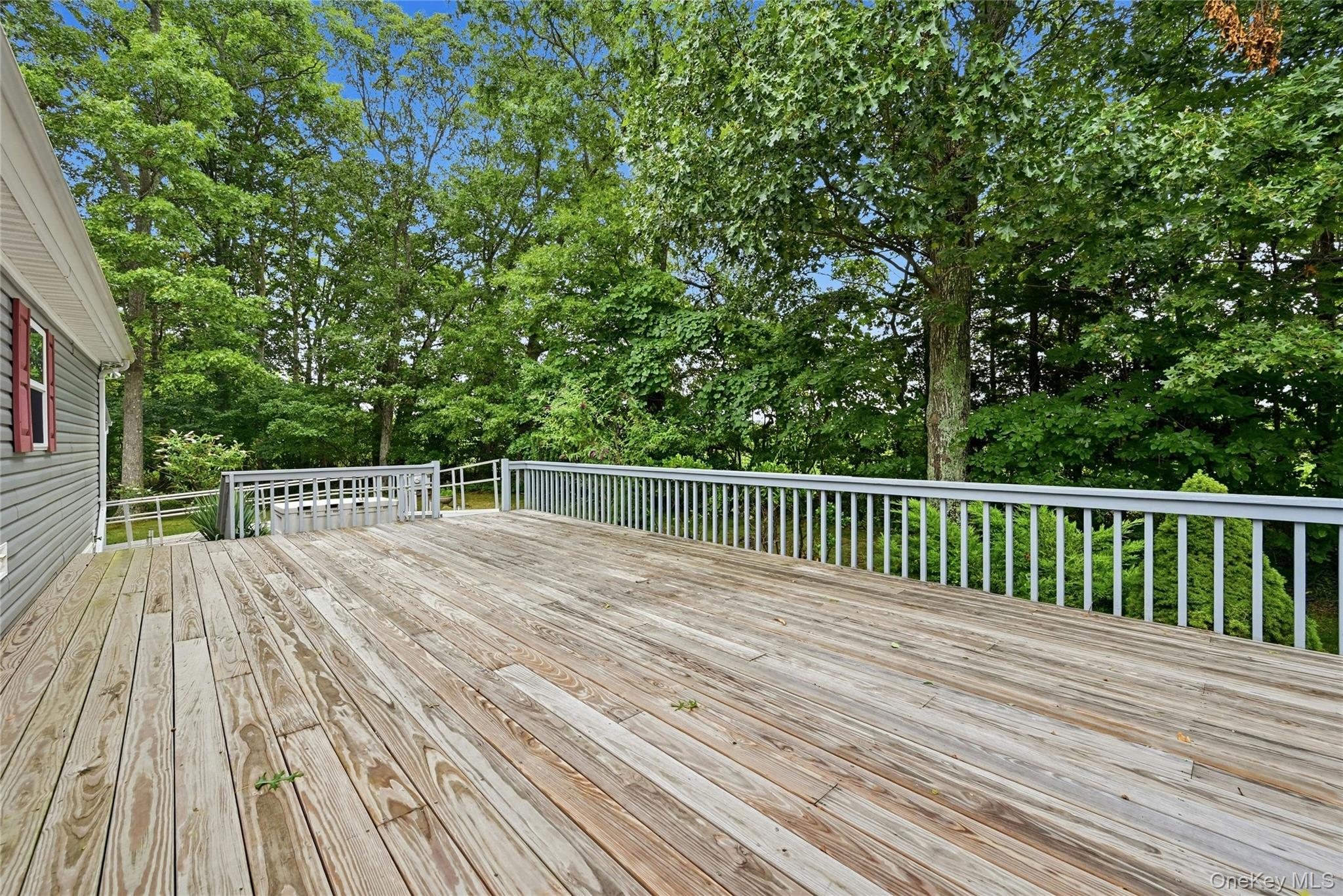 Photo 24