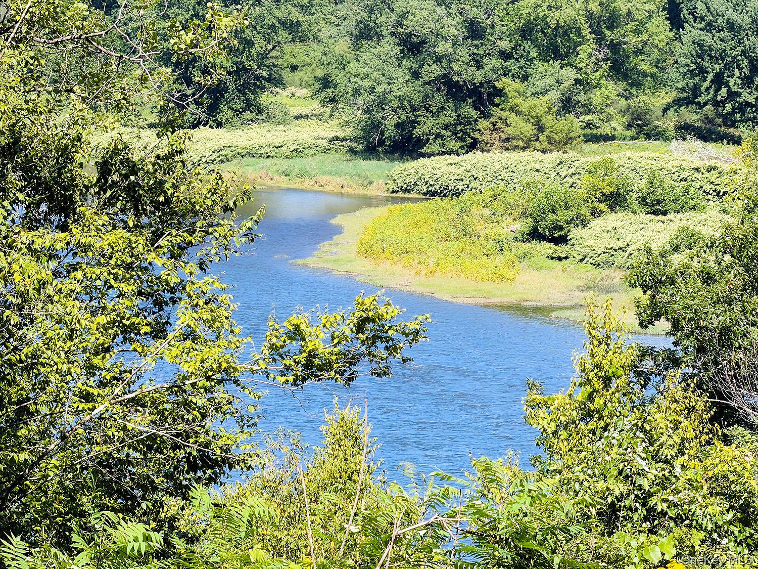 View