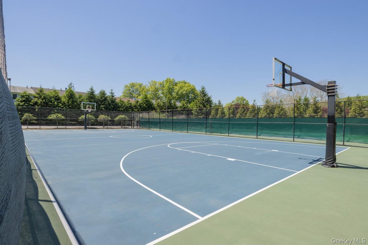 Basketball Court