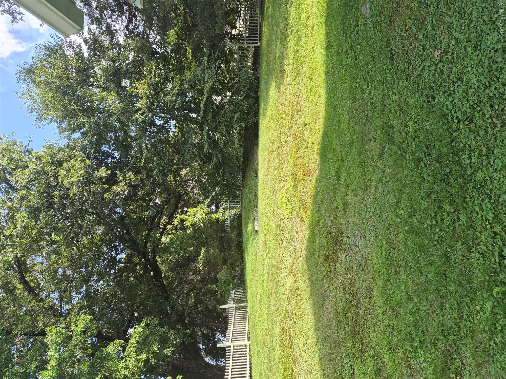Yard
