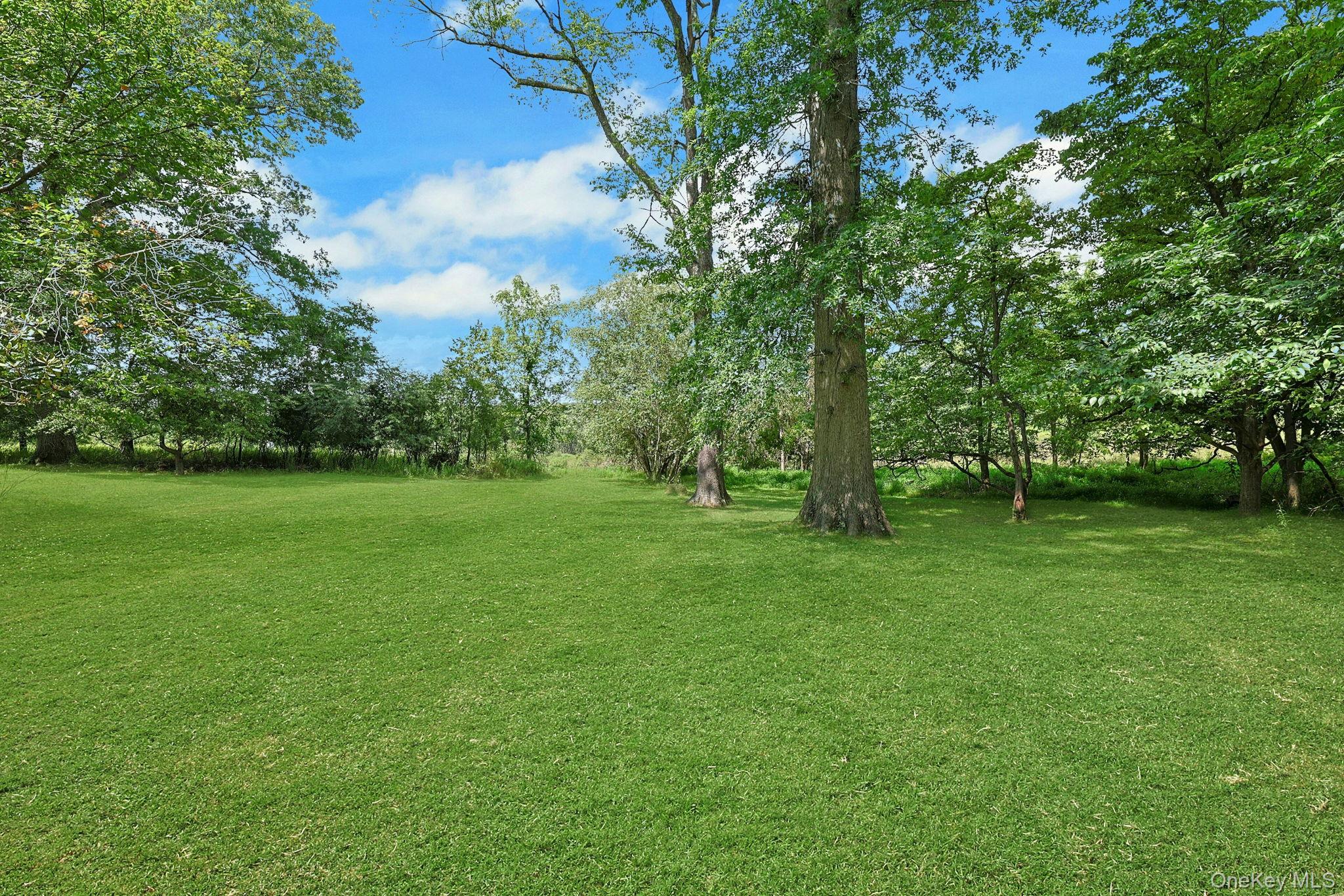 Yard
