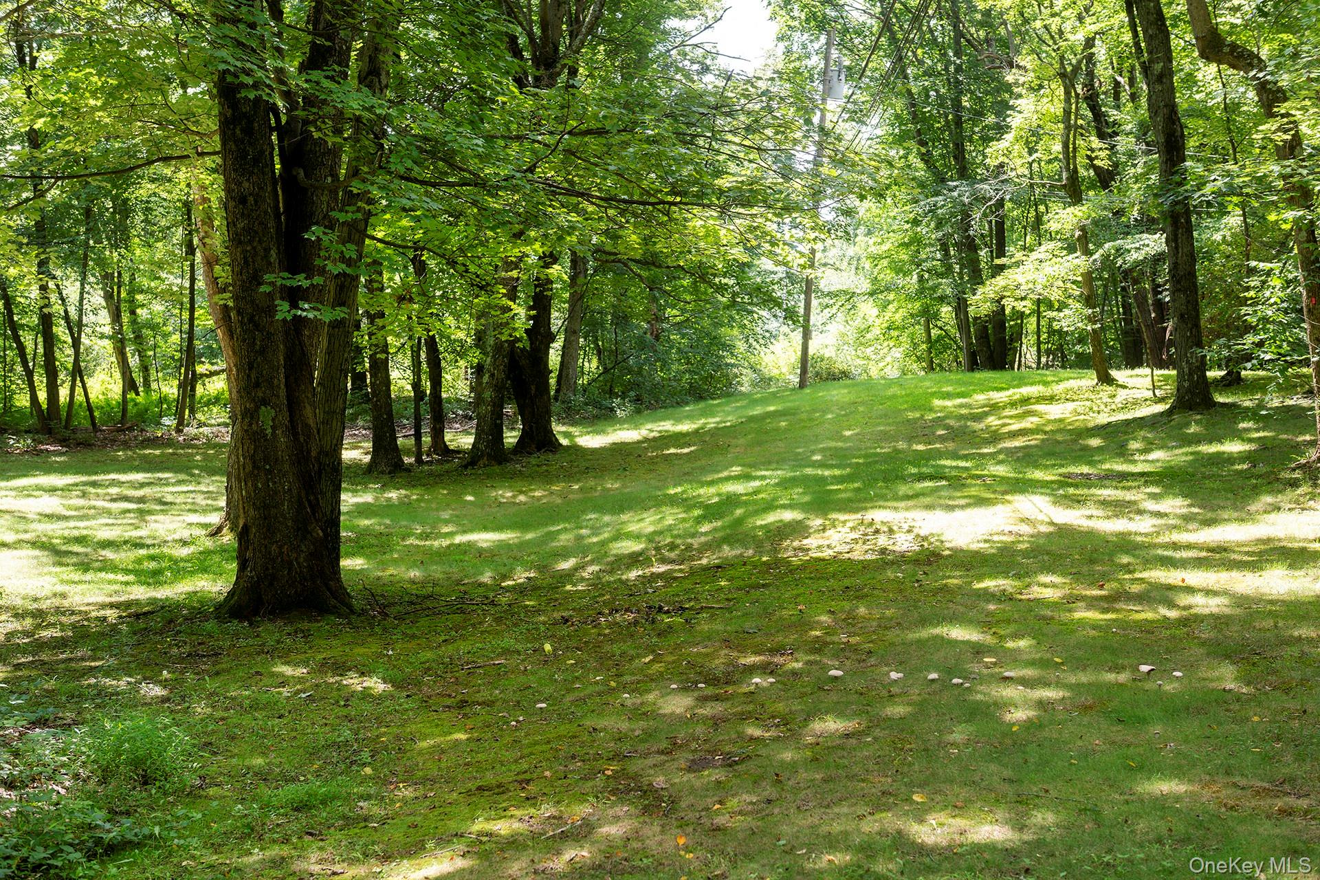 Photo 43