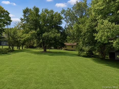 Yard