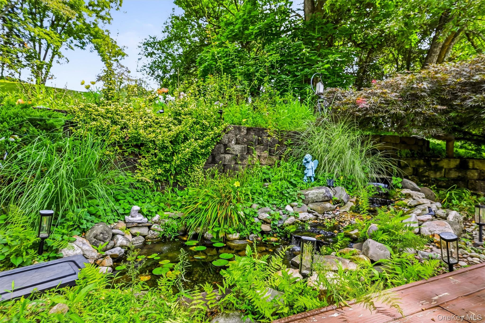 Pond