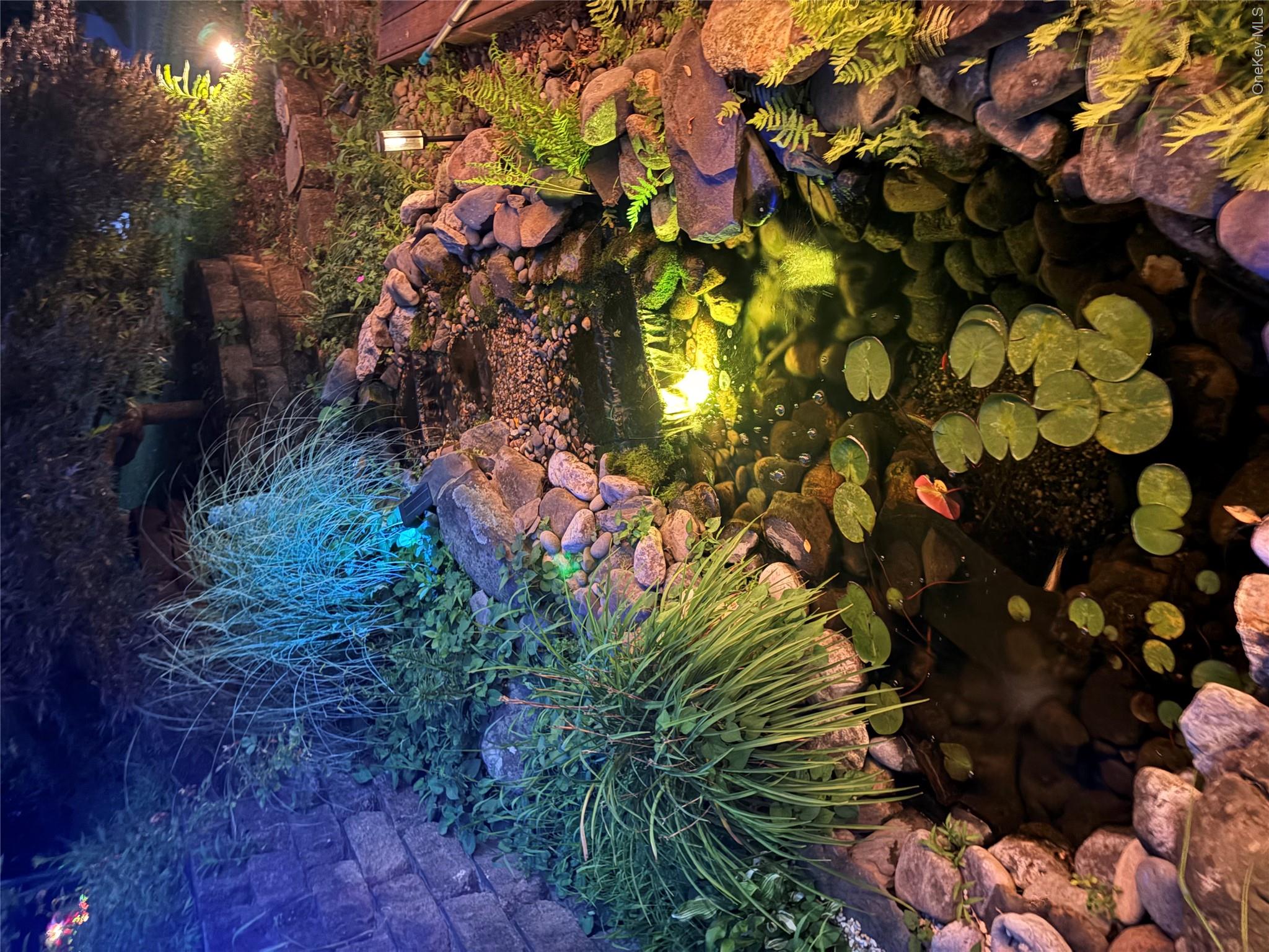 Pond