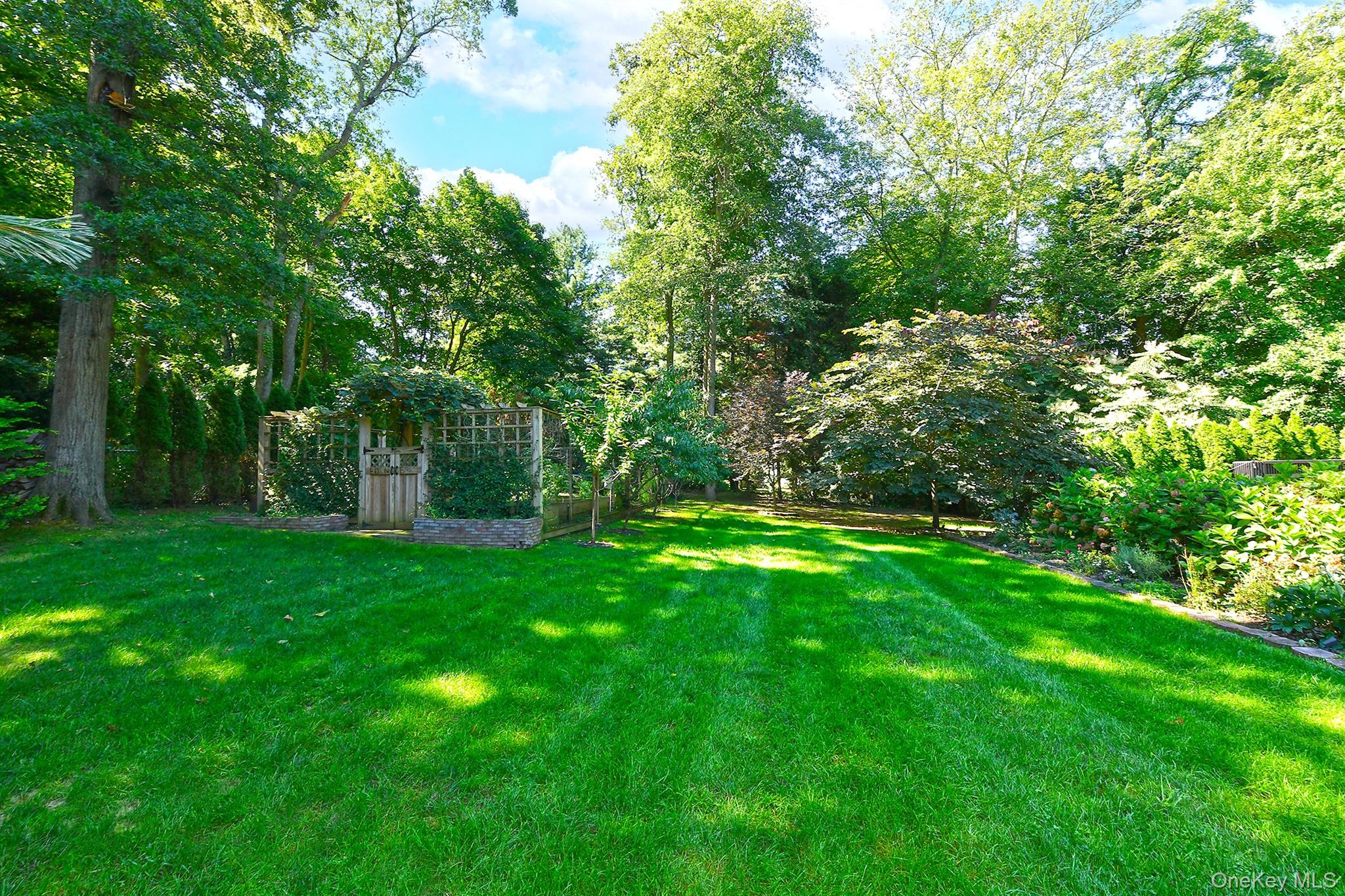 Yard